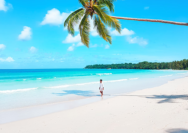 Homme marchant sur une plage paradisiaque des Caraïbes sous un palmier, visuel promotionnel Cyber Monday jusqu’à -10 % de réduction à la Toubana Hôtel & Spa