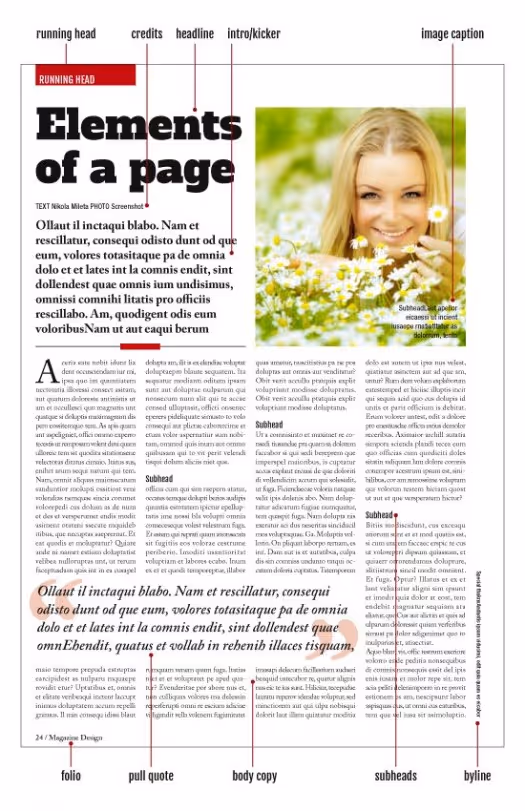 anatomy of a print publication