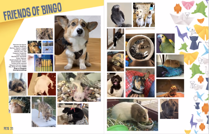 Sample yearbook pet spread using crowdsourced content