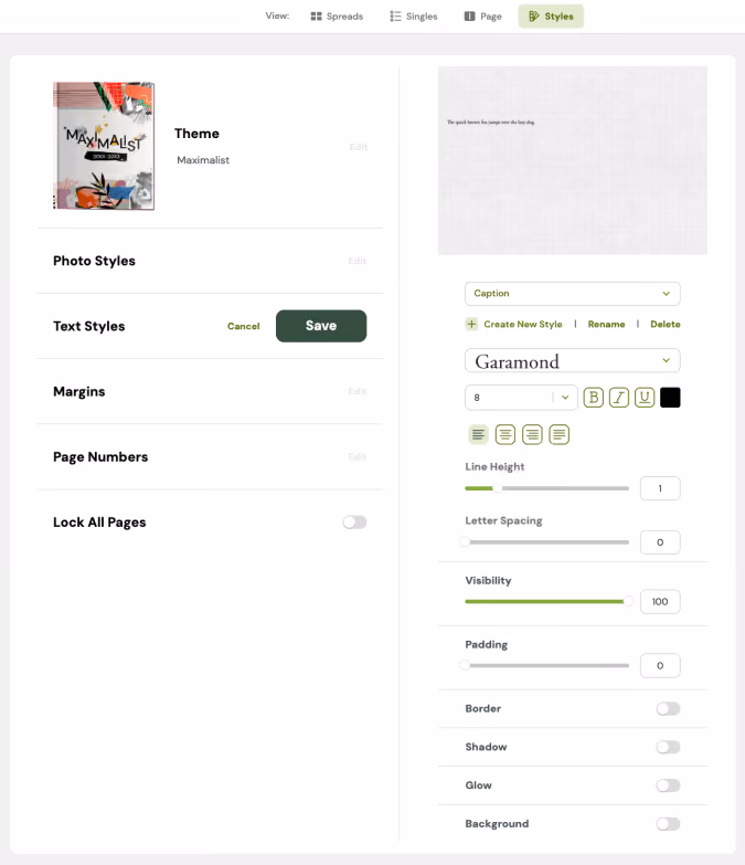 User interface for editing text styles with options for font, size, alignment, spacing, visibility, and effects.