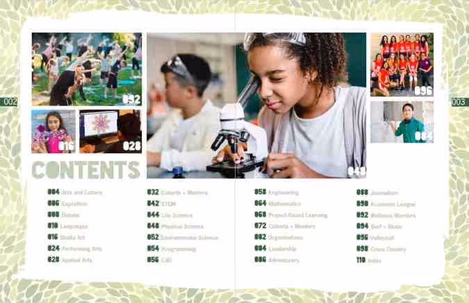 Organic design-inspired table of contents with leaf line art layered with organic shapes