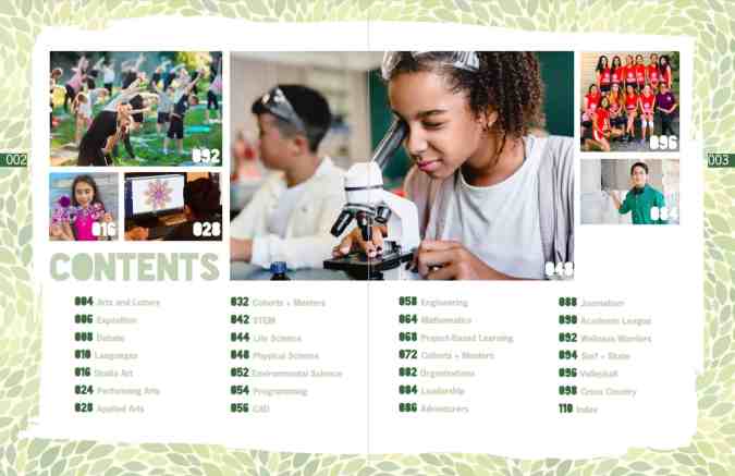 Organic design-inspired table of contents with leaf line art layered with organic shapes