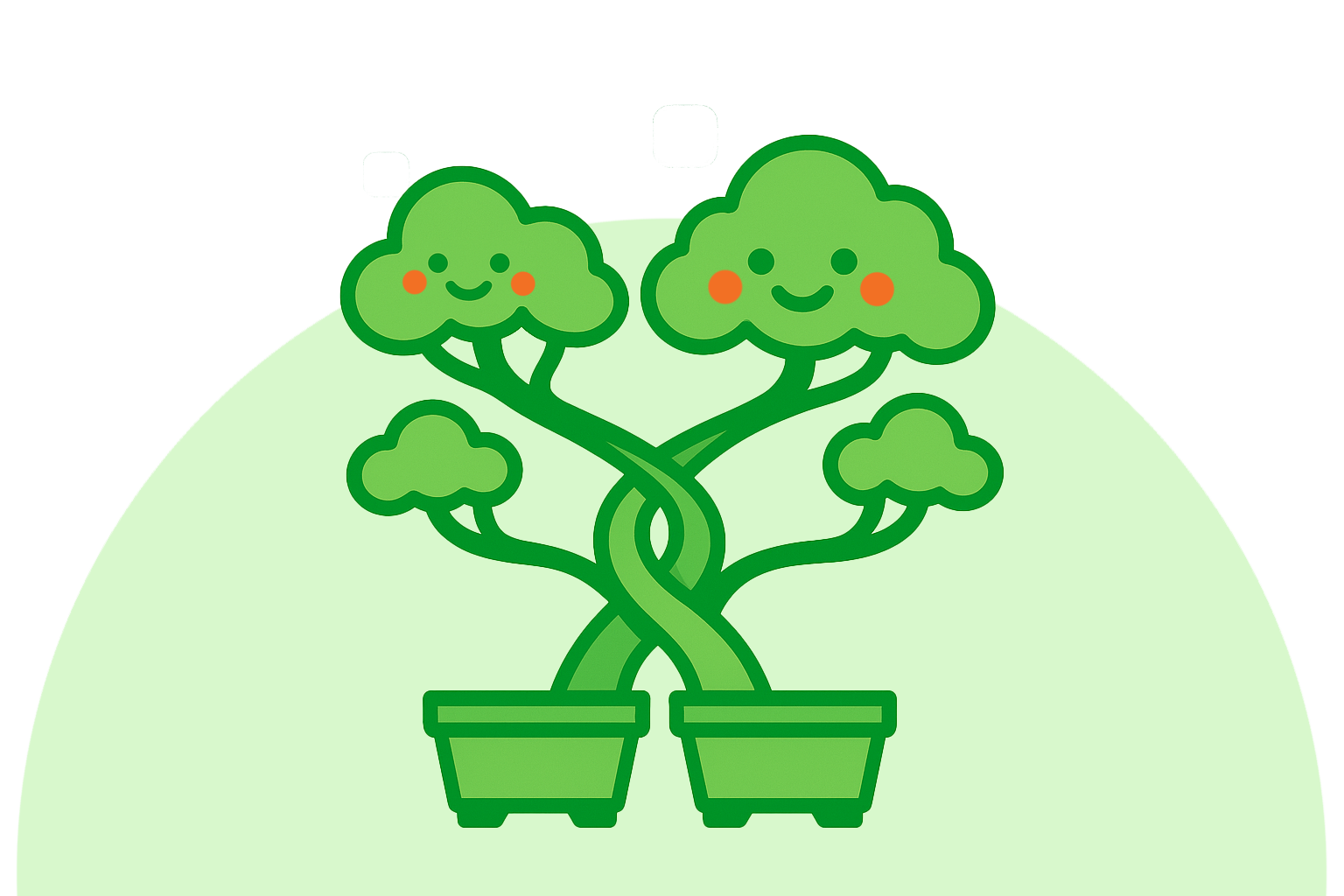 saasybonsai