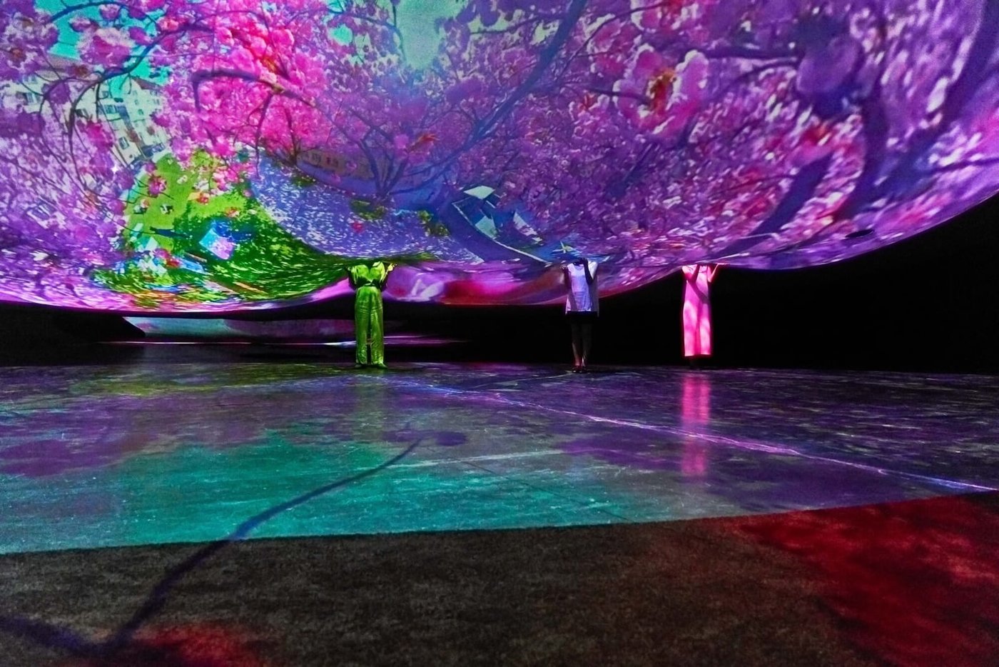 Pipilotti Rist, Your Palm Is My Universe, installation view, 2025