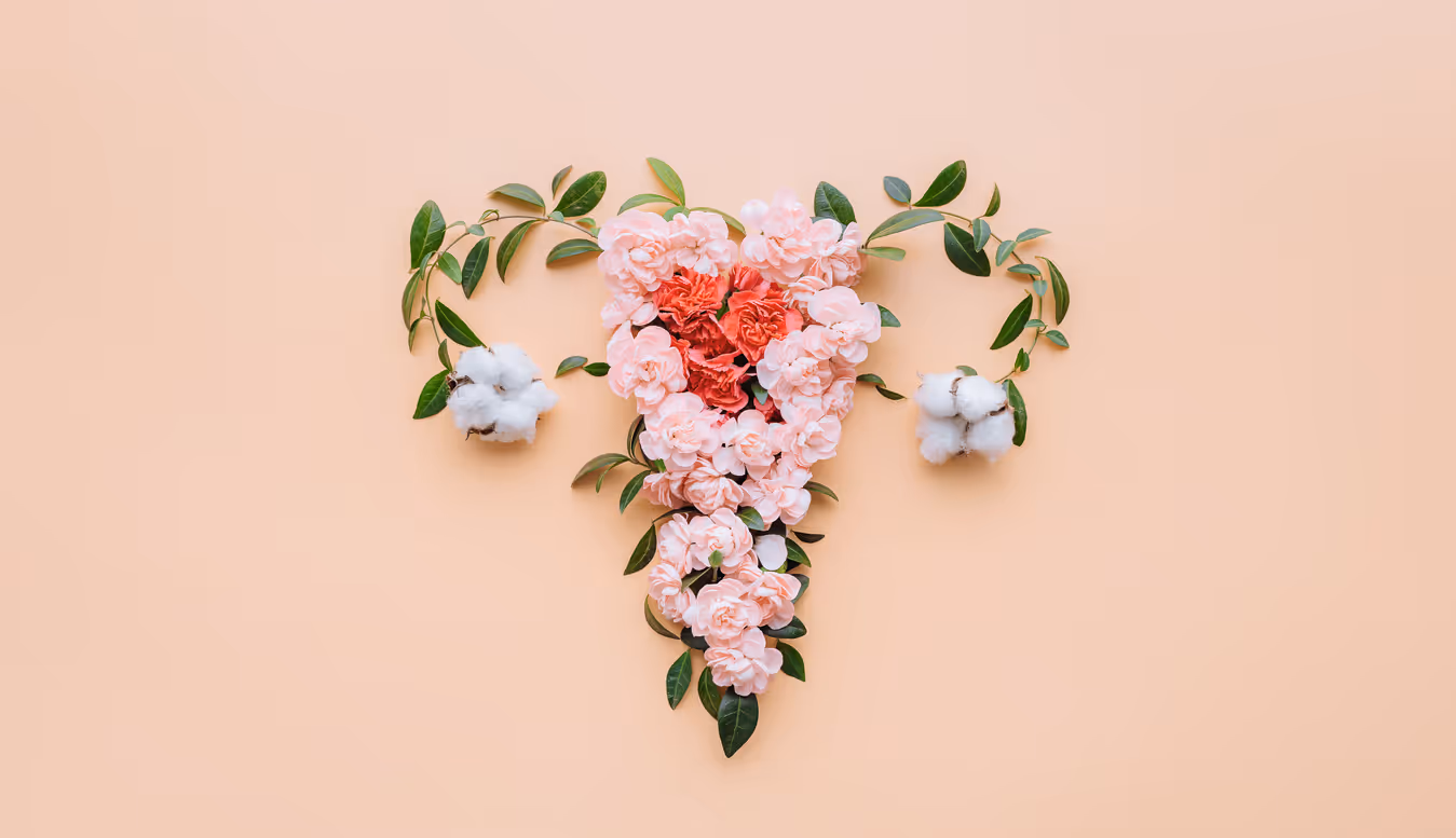 Cosmetic Gynecology at Revive