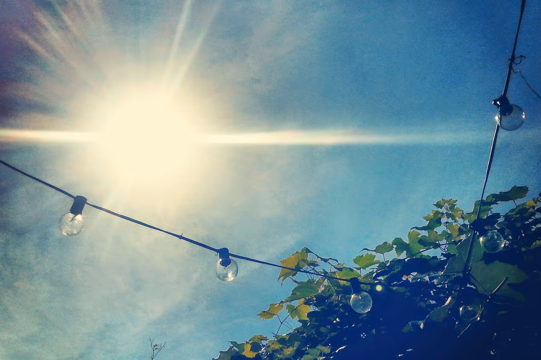 Sunlight shining over string lights and greenery, creating a bright, creative atmosphere.