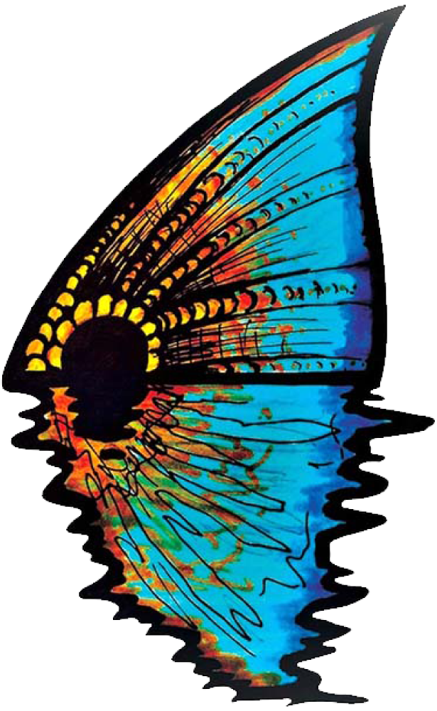 Sarah James Fulcher Foundation Logo