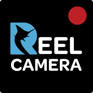 Reel Camera Icon