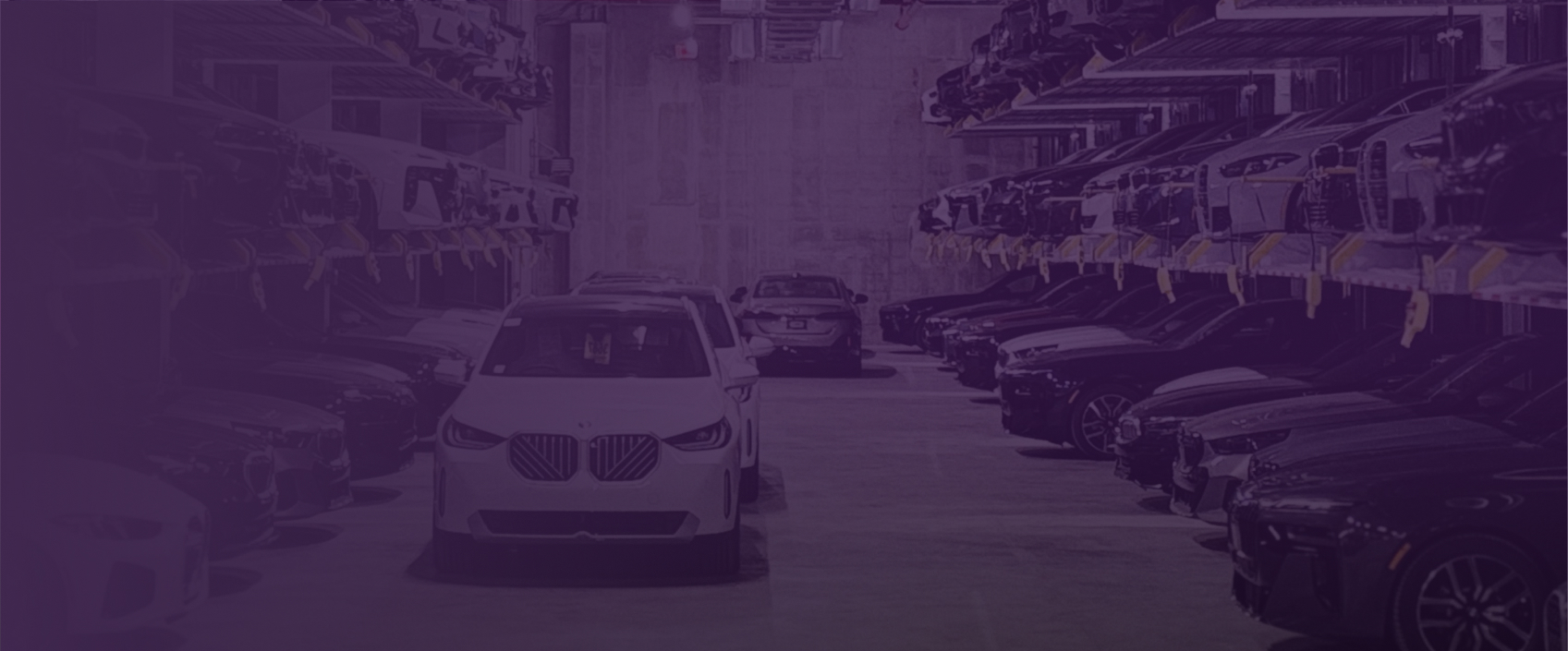 Rows of vehicles parked at an outdoor car storage yard on Long Island