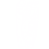 burrito icon