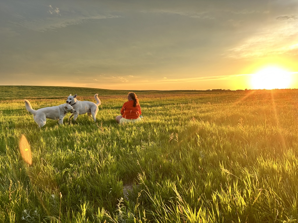 Honor, Valor, and Deb during sunset