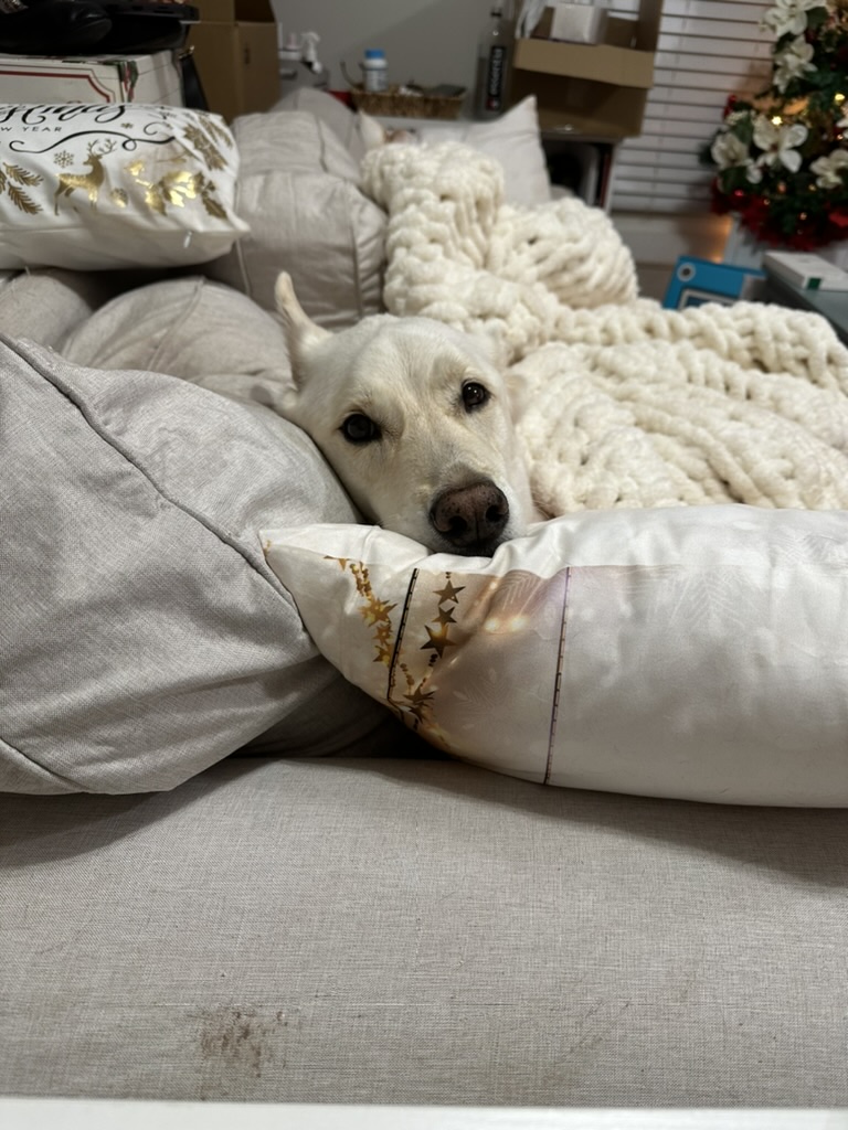 Honor napping