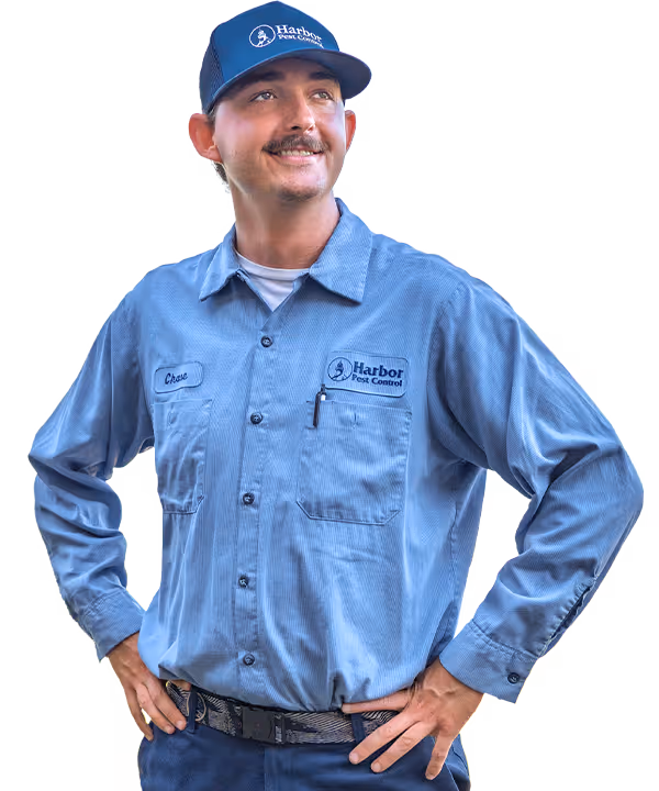 harbor pest control specialist