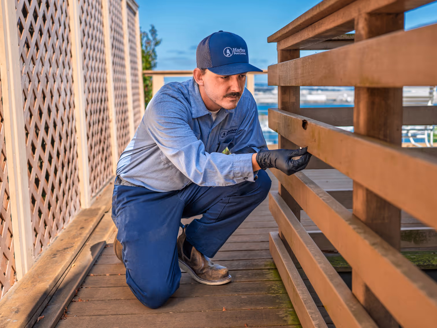 san diego termite experts inspecting home