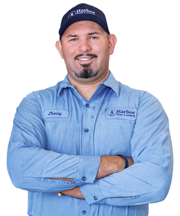 pest control specialist serving san diego