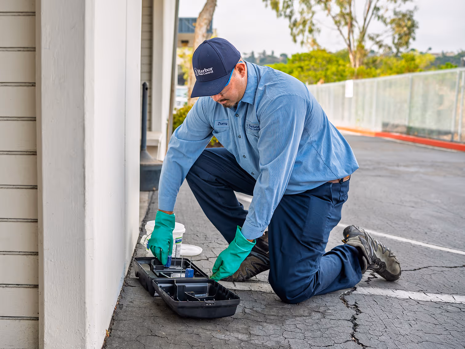 routine pest control service 