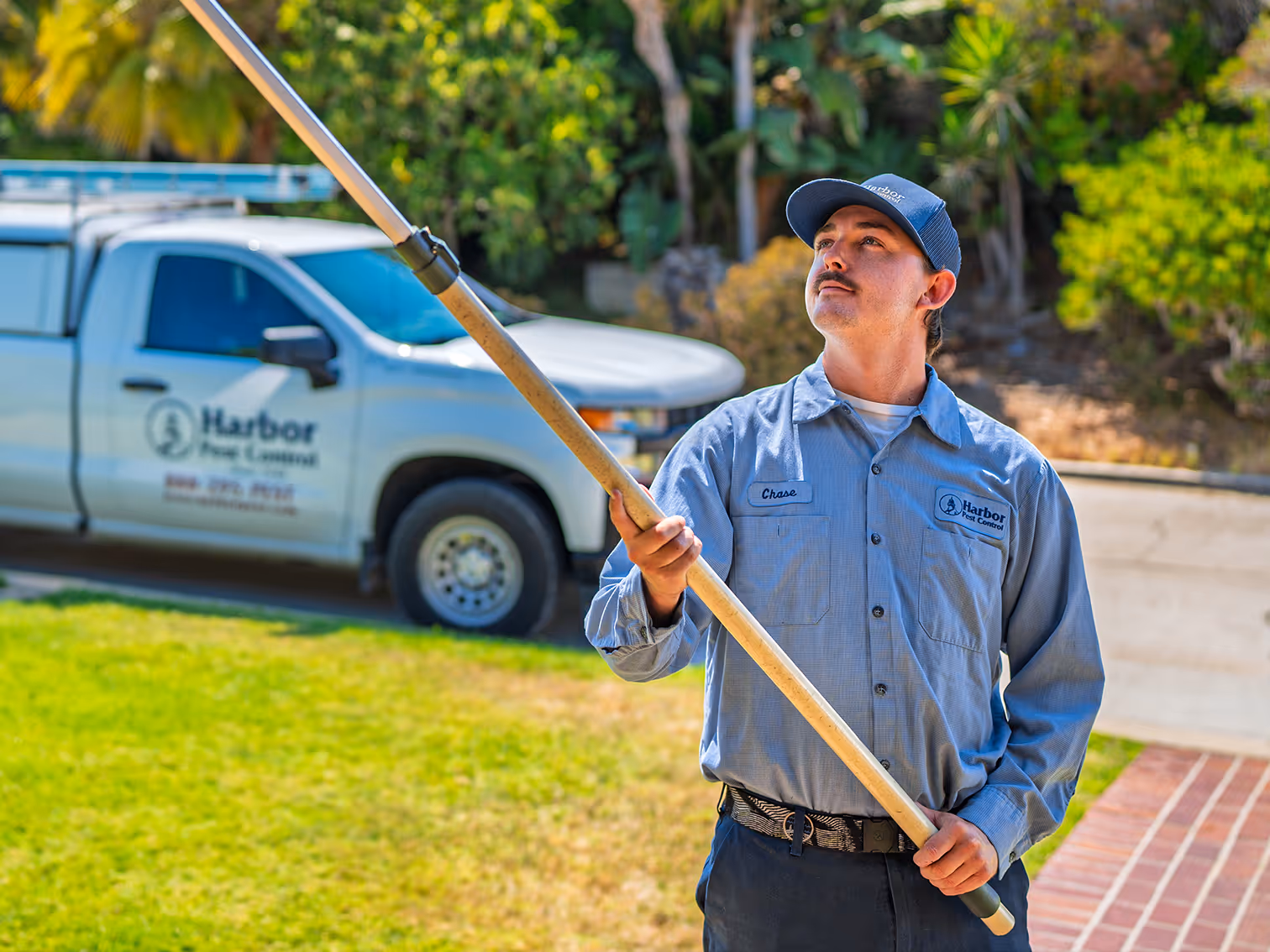 pest pro knocking down spider webs