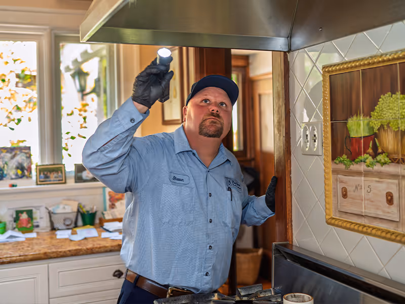 san diego pest control pro checking kitchen for bugs