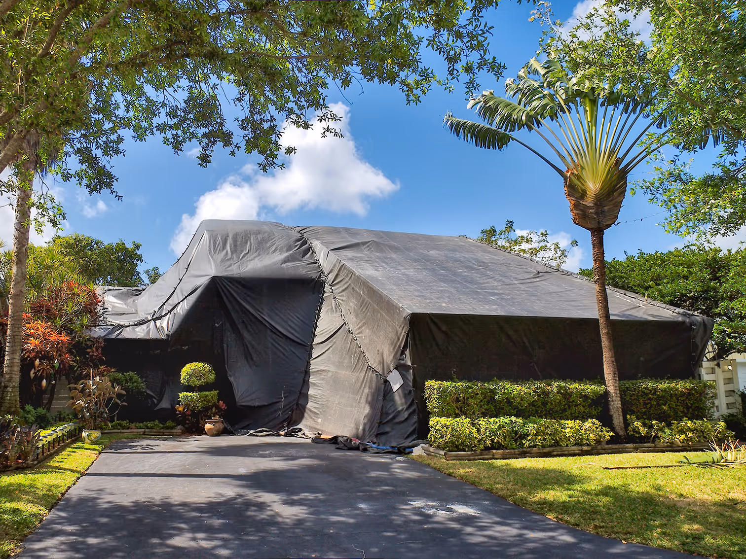 san diego home tented for fumigation