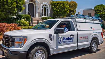pest pro in service vehicle