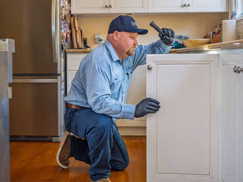 interior pest treatment