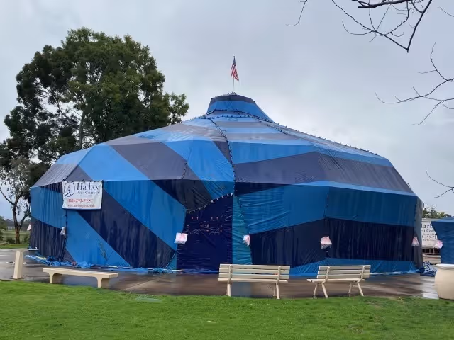 building being fumigated in san diego