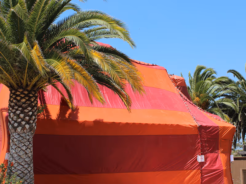 whole house fumigation