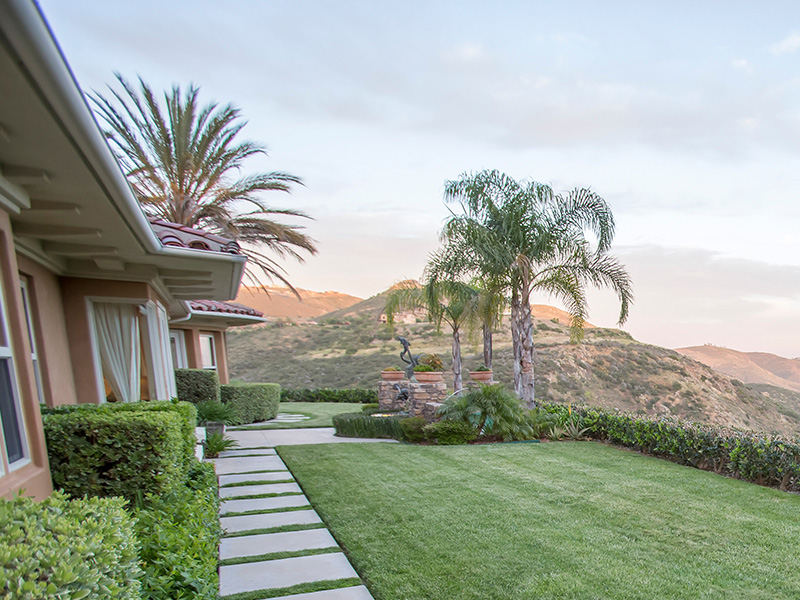 house with palm trees