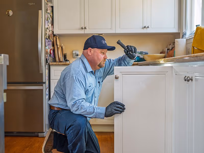 pest technician inspecting a kitchen