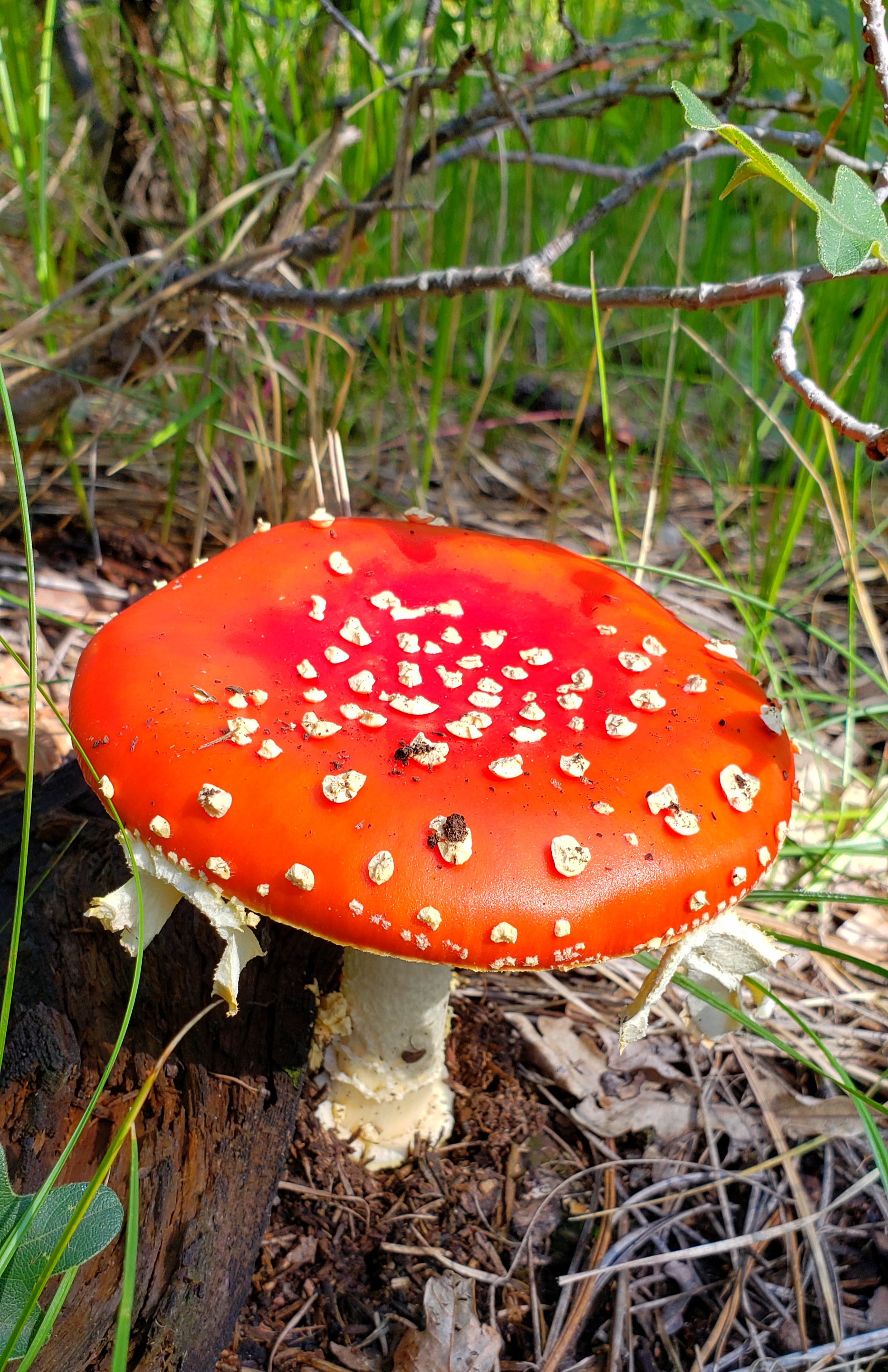 Feature image
