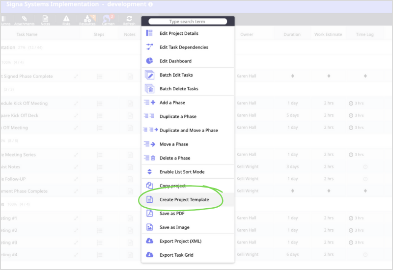 MSP Project Template in Moovila