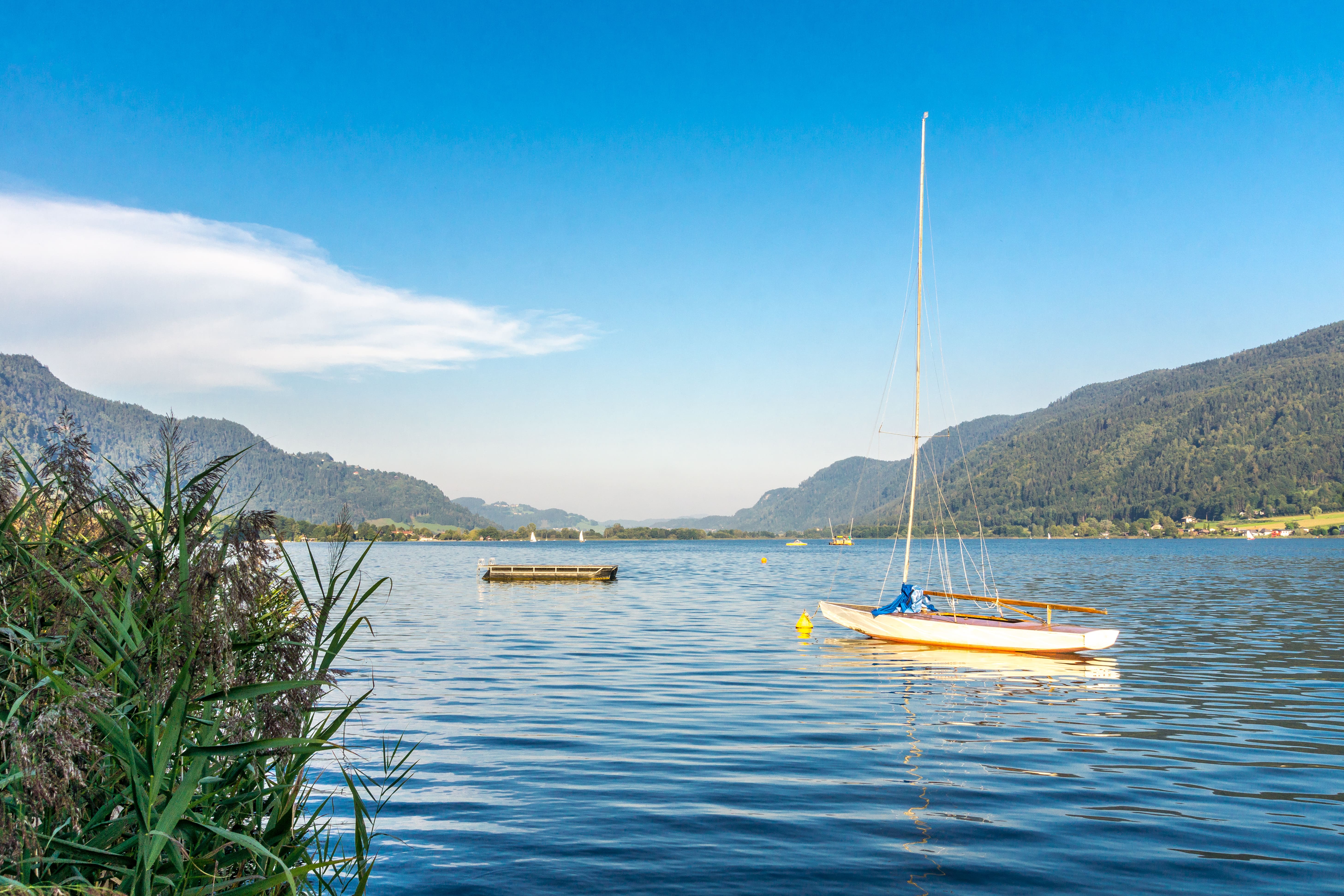 Segelboot am nahen Schilfufer auf dem Ossiacher See