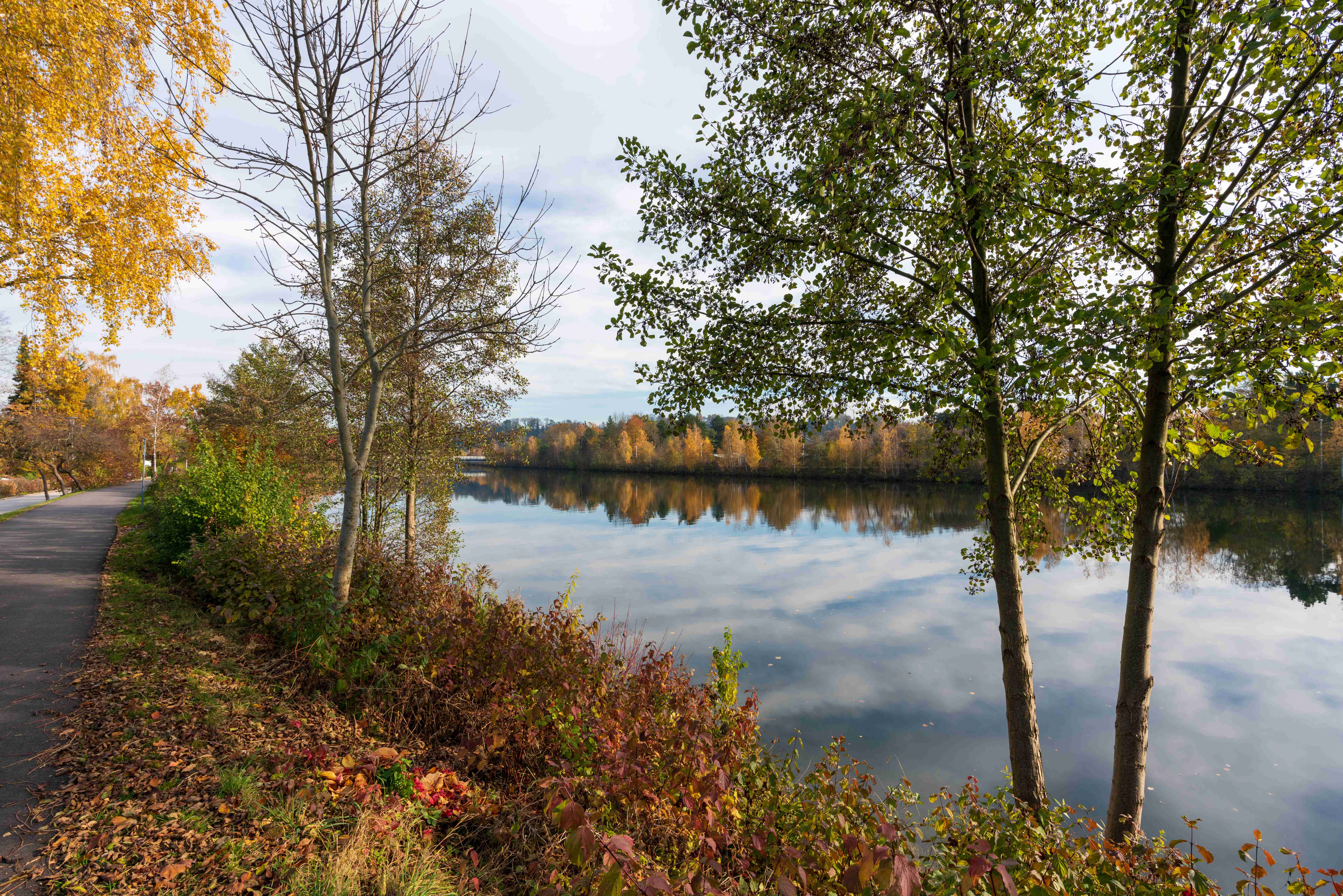 Wels Traunufer mit Thalheim im Spätherbst