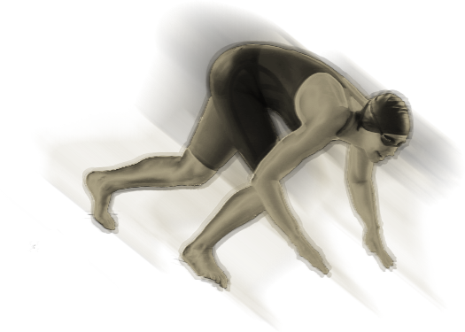 A swimmer about to take off into a dive