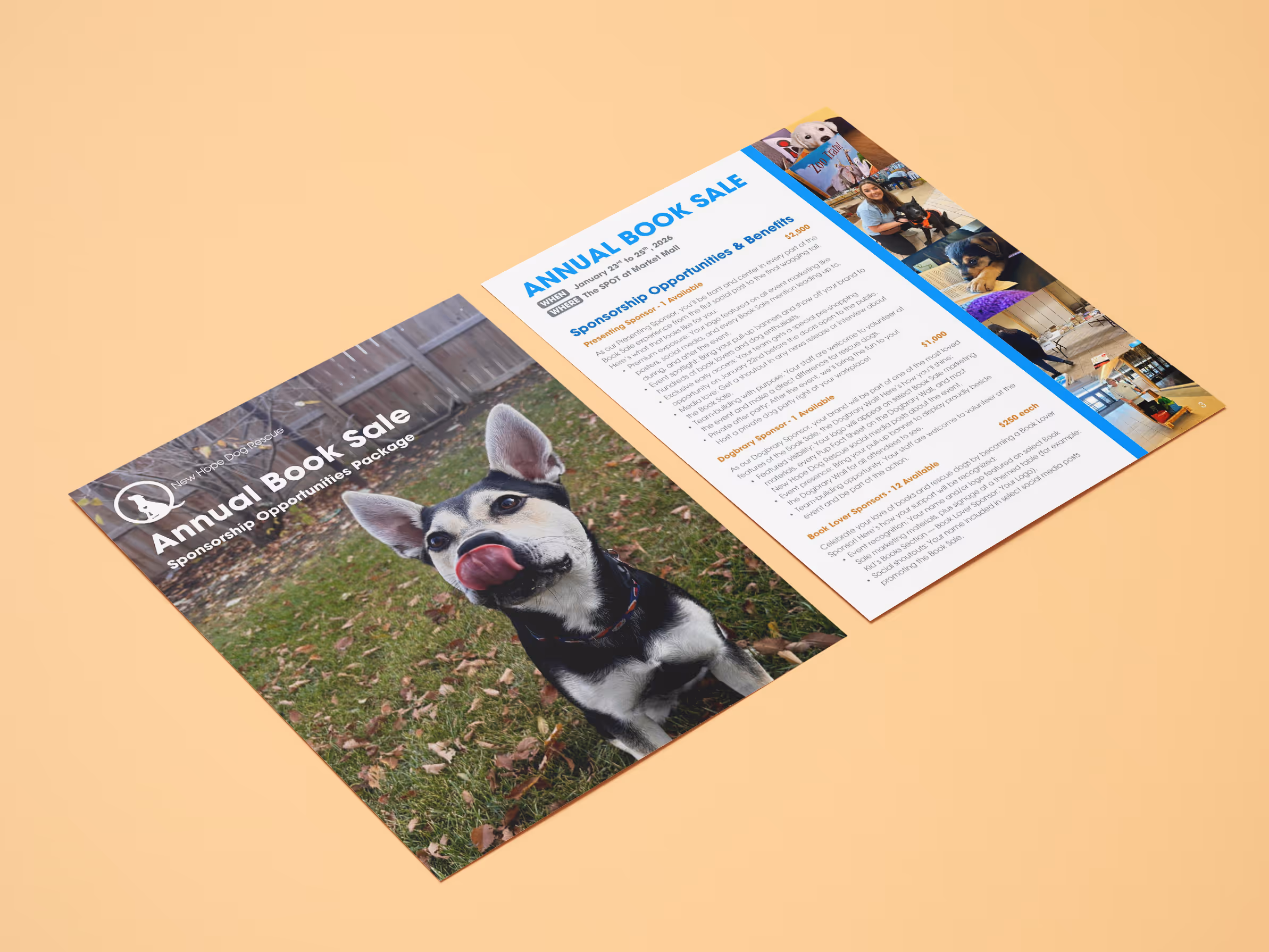 Sample pages from annual book sale booklet