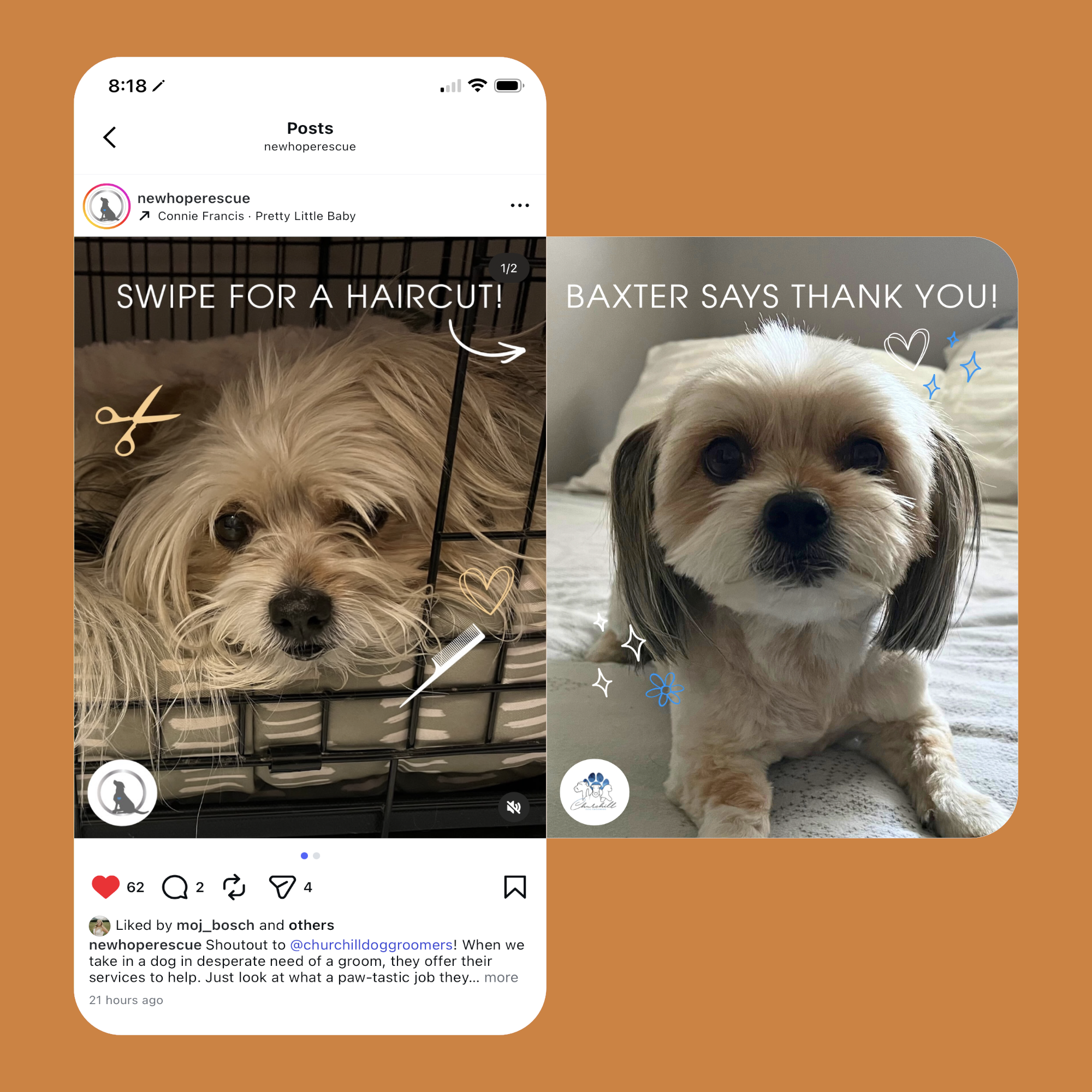 Mockup of Instagram carousel post with a before and after haircut of dog