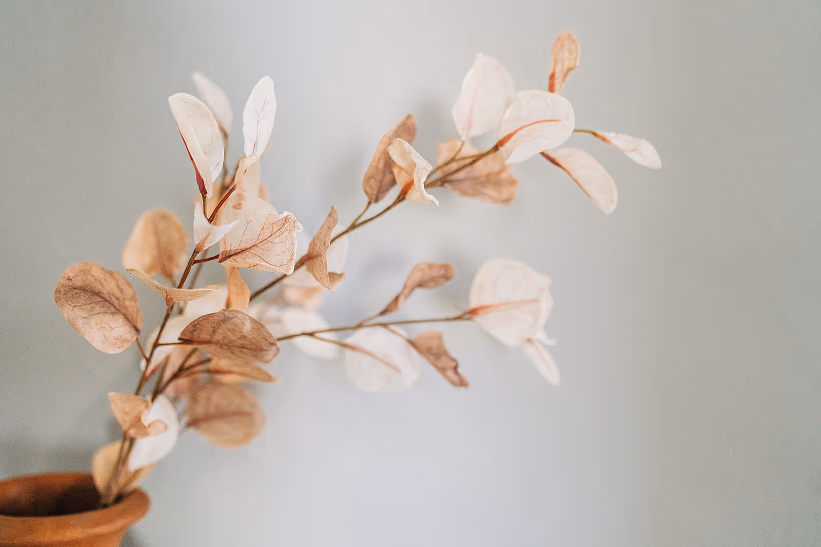 illustration of a girl looking over a valley and feeling empowered after her psychology session