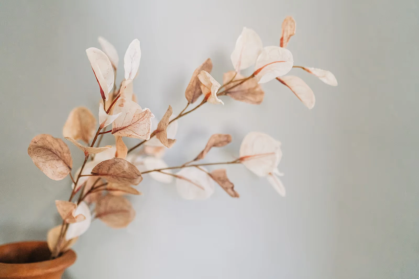 therapist-melbourne