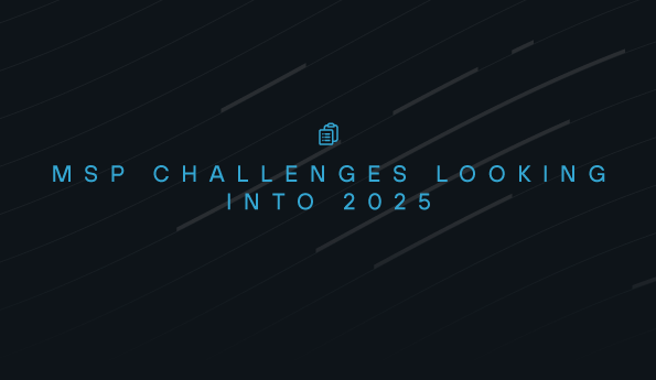 MSP Challenges Looking into 2025