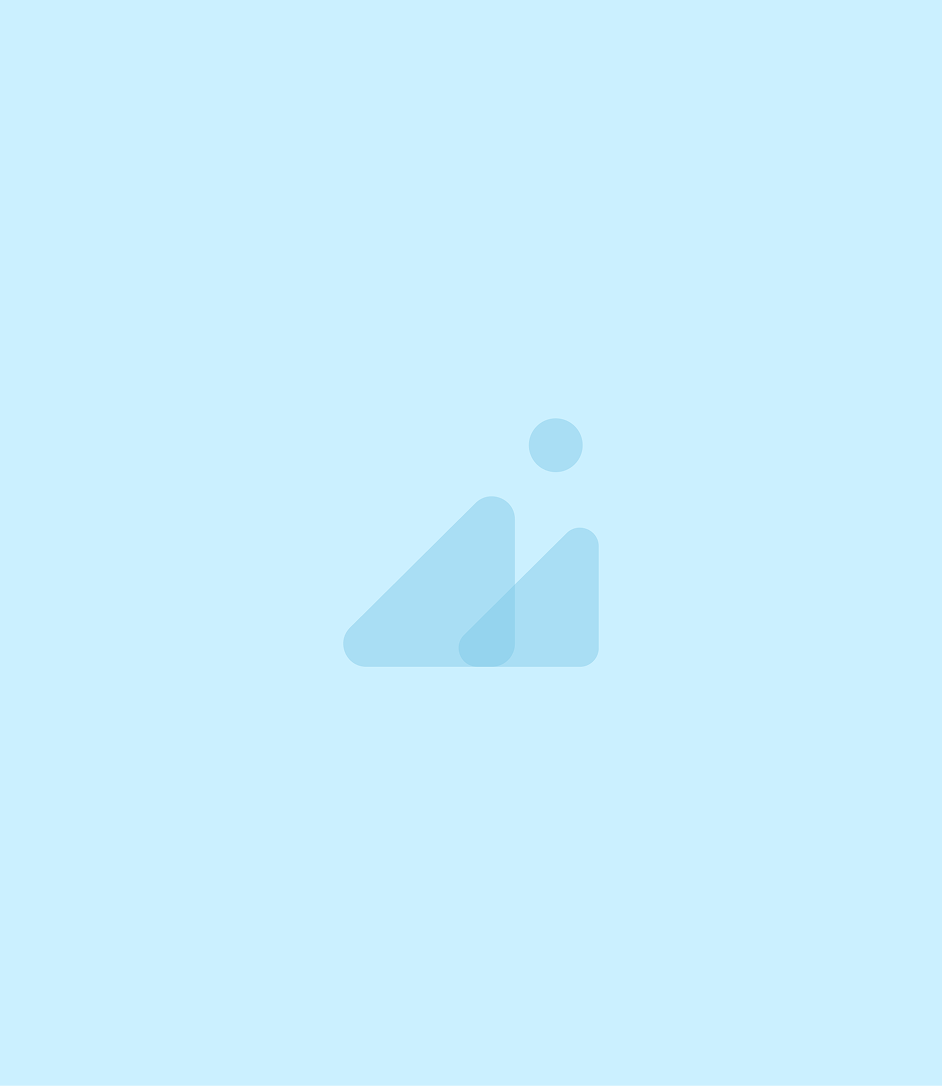 Understanding the CMMC Program