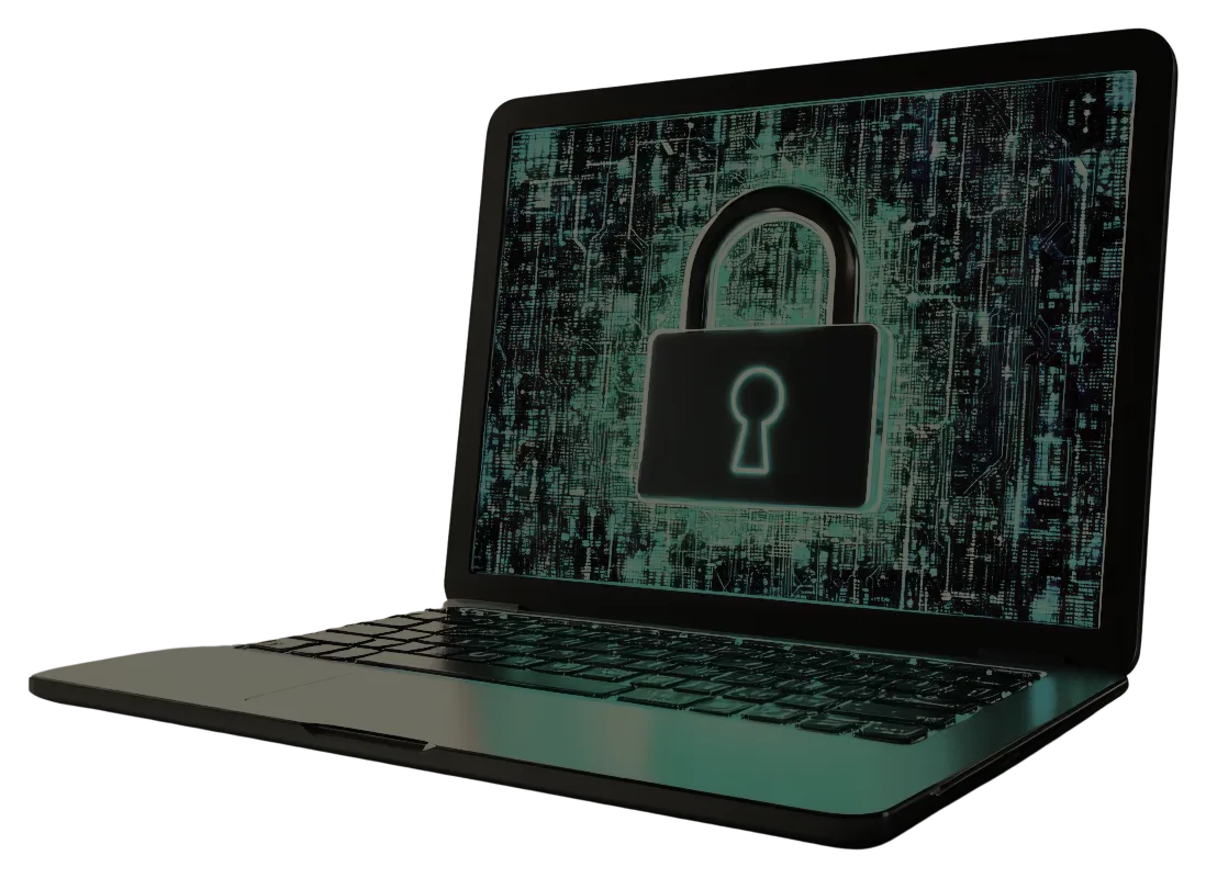 IT device security.  This laptop is locked down with the latest cybersecurity!