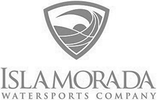 Logo 15