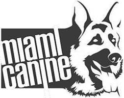 Logo 16