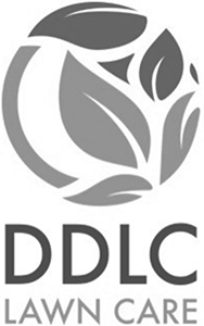 Logo 5