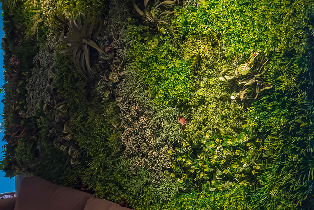 Indoor vertical garden wall with various lush green plants and foliage next to a brown sofa.