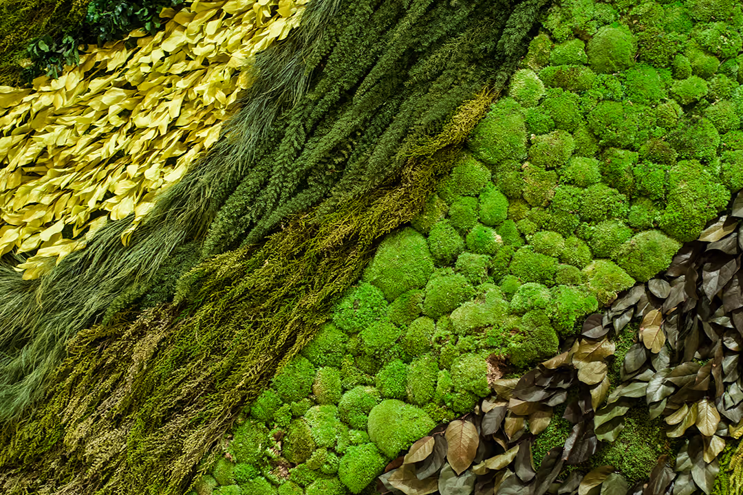 Close-up of a textured vertical garden wall featuring various types of green moss and leaves arranged in diagonal layers.