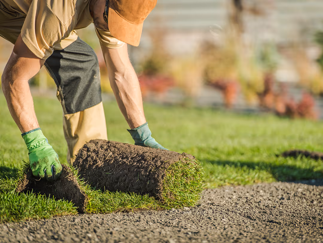 Ecovolve team member installing rolled sod onto prepared soil.