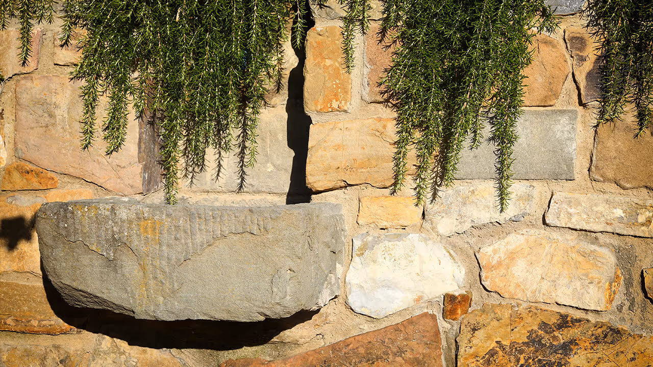 Stone wall with an attached rectangular stone ledge and hanging green foliage above it.