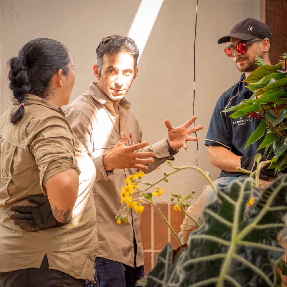 Three Ecovolve team members in conversation, surrounded by green plants and flowers indoors.