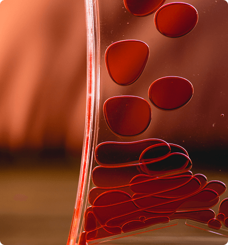 Take Control of Your Cholesterol Health